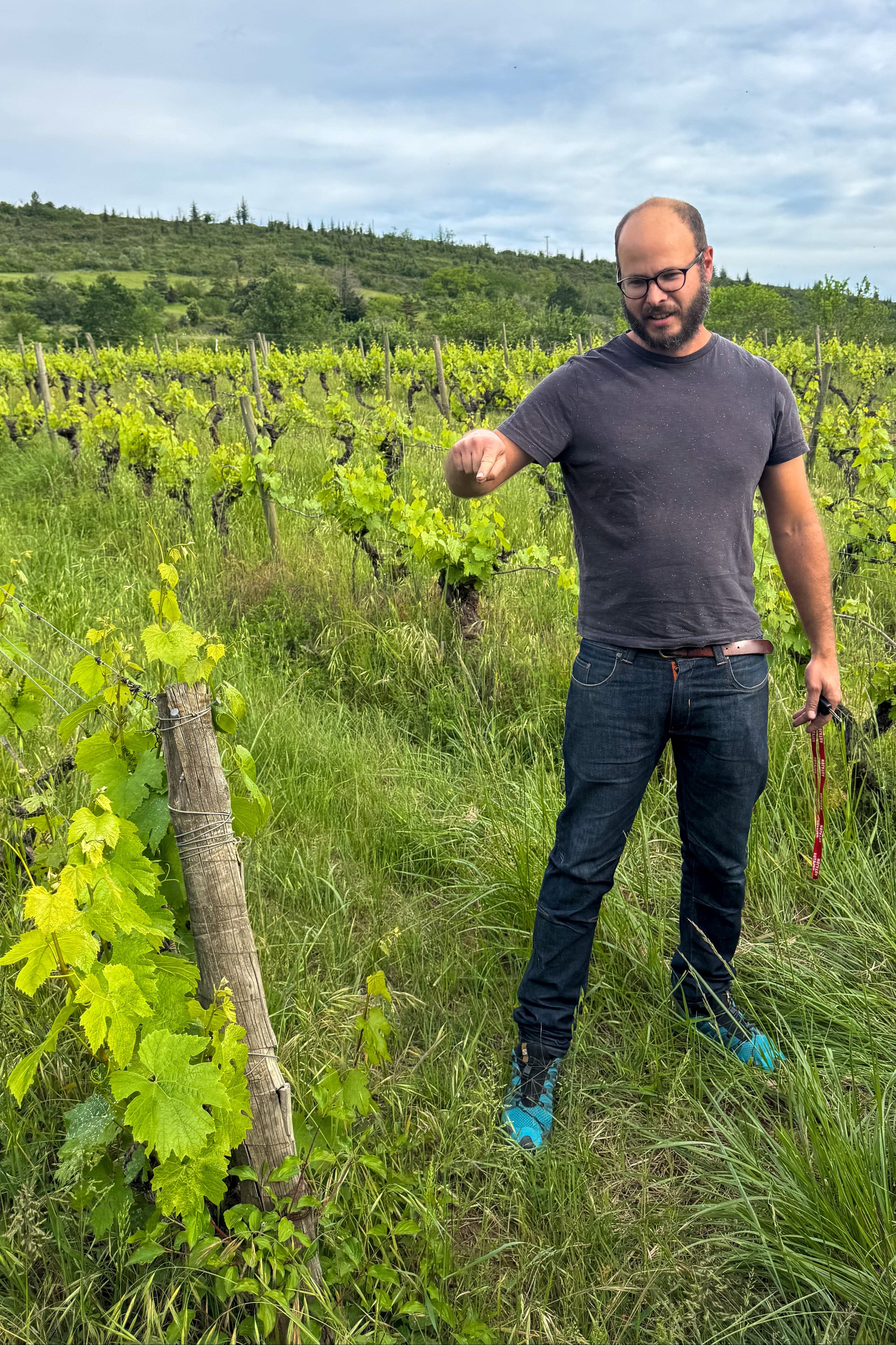 Les Vins de l'Aventure