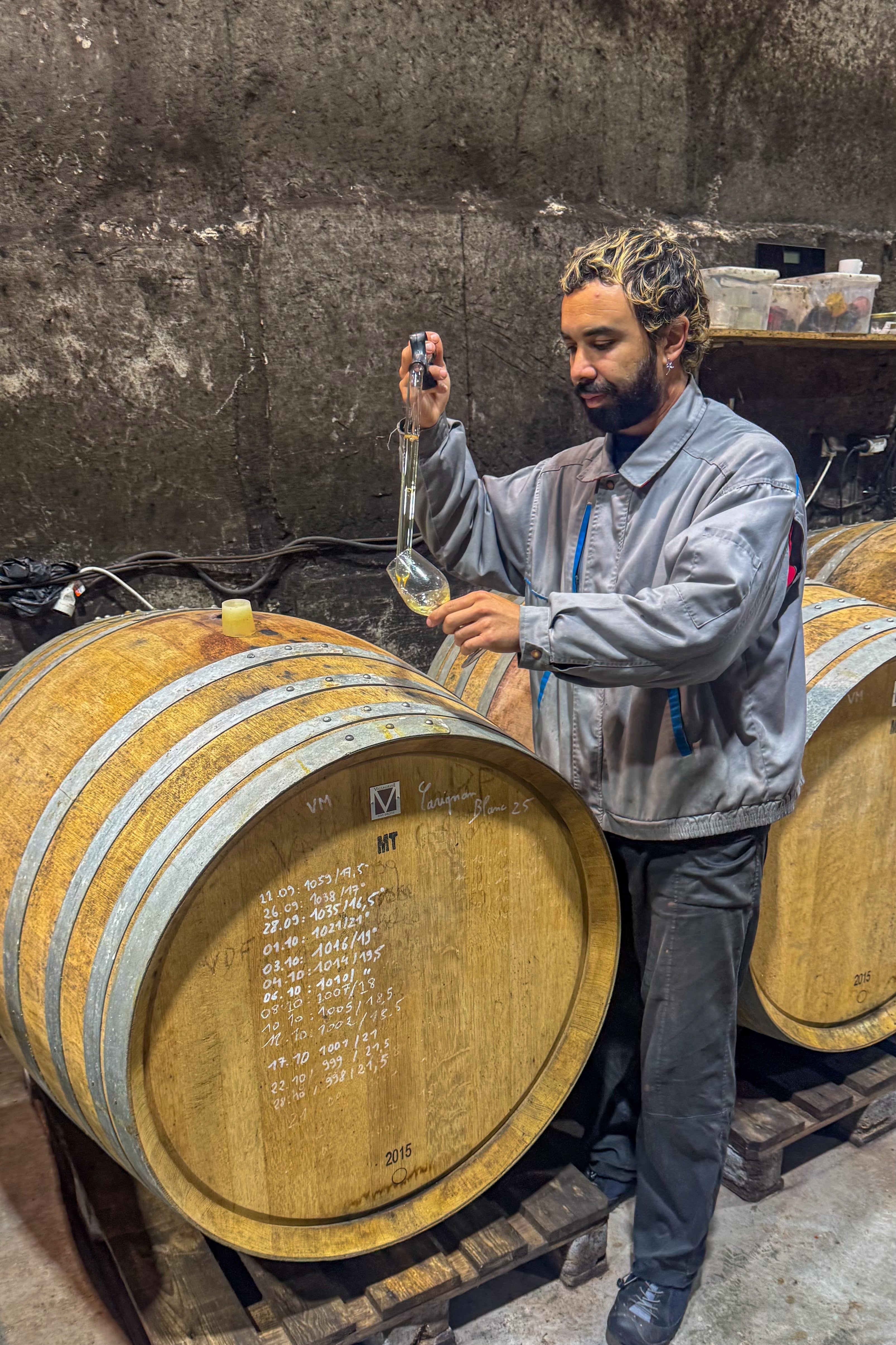 Vins Mercuriales