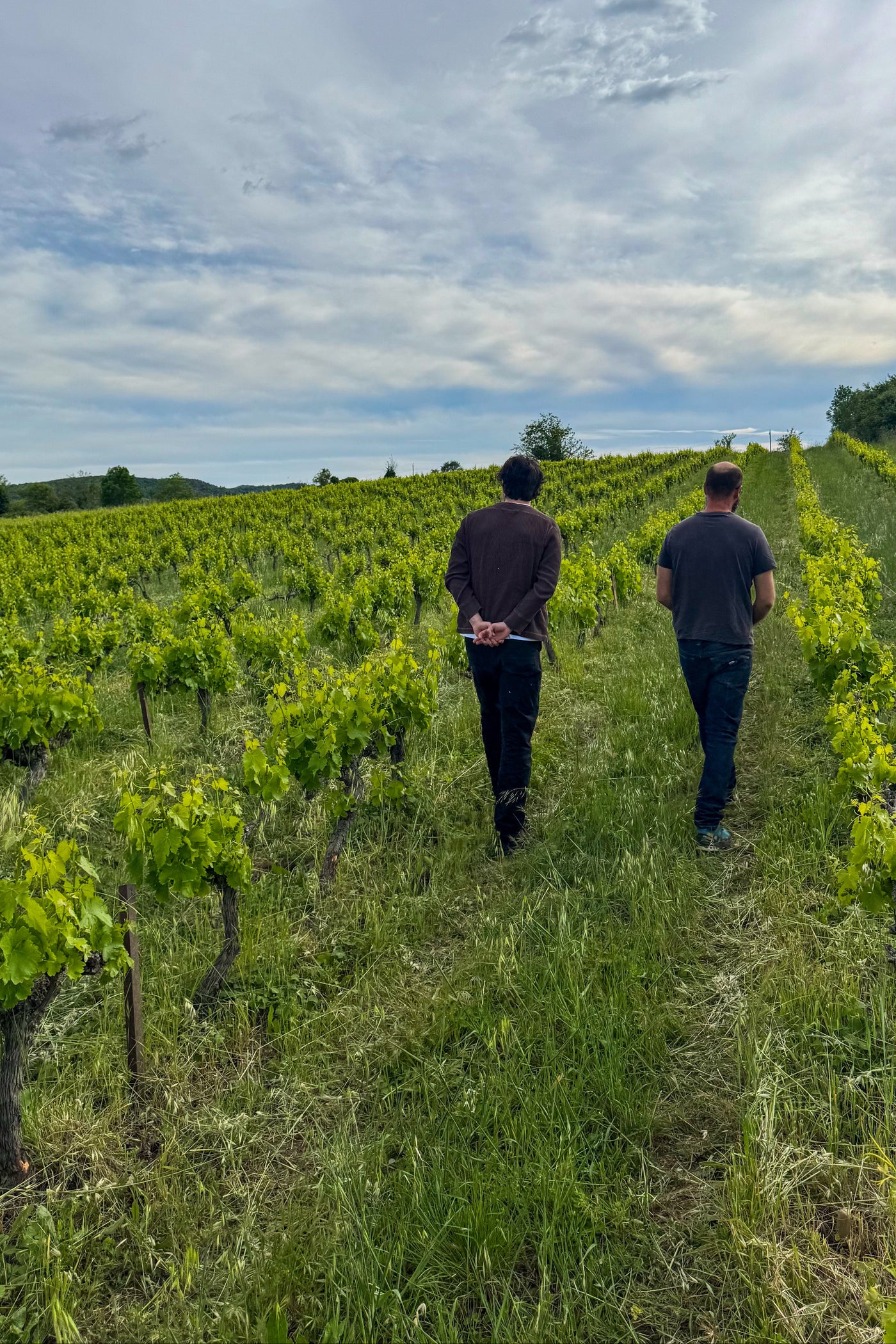 Les Vins de l'Aventure
