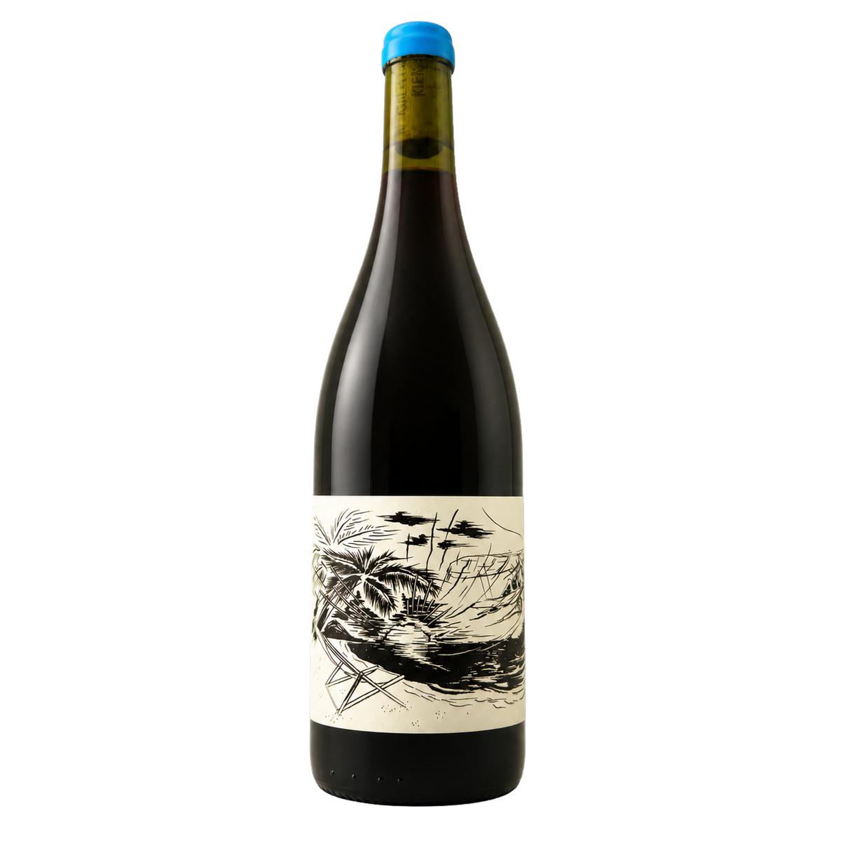 Fles Chillay 2024, lichte rode natuurwijn van Gamay door Domaine RLK uit de Ardèche, zwart-wit palmen-etiket